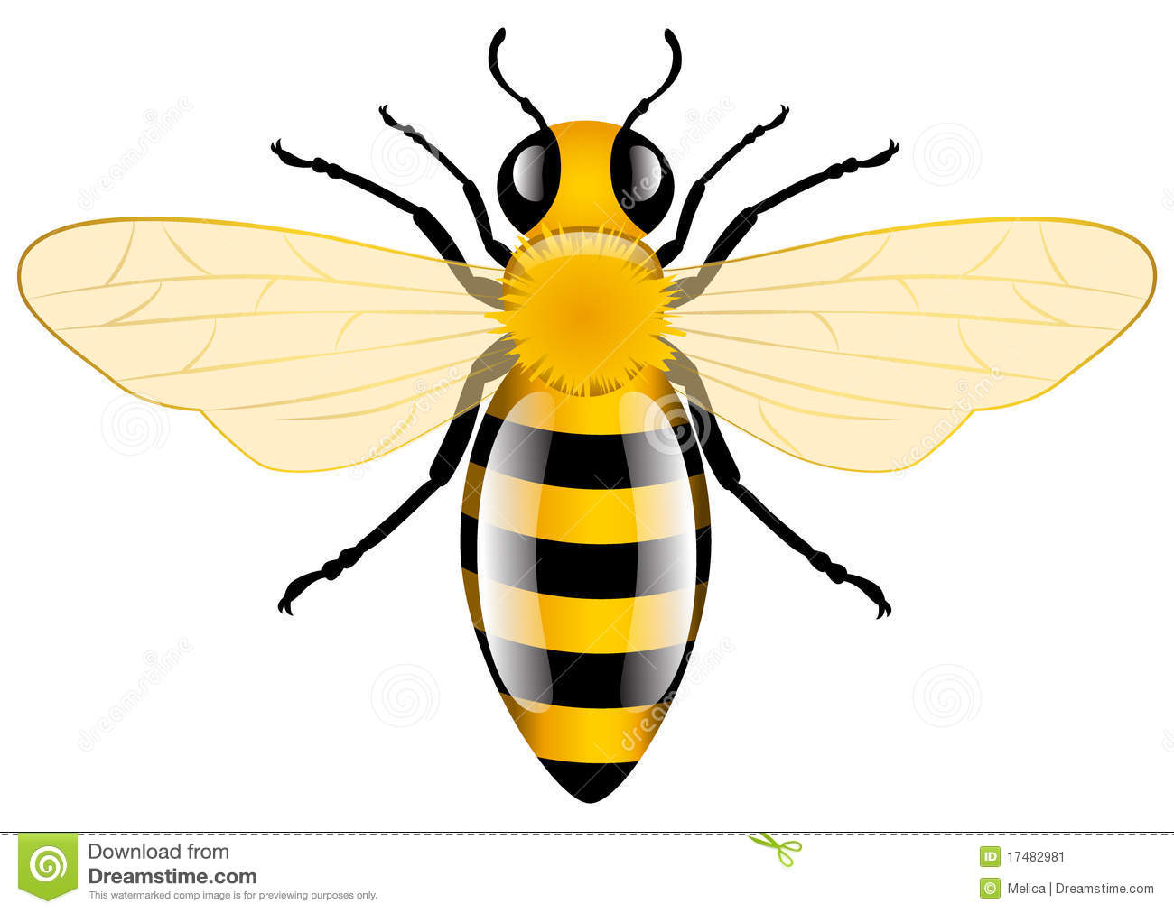 1300x1012 honey bee drawing clip art honey bee clip art magic - Honey Bee Drawing Clip Art