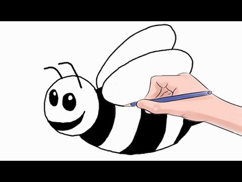 480x360 How To Draw A Bee Easy Step - Honey Bee Drawing Images