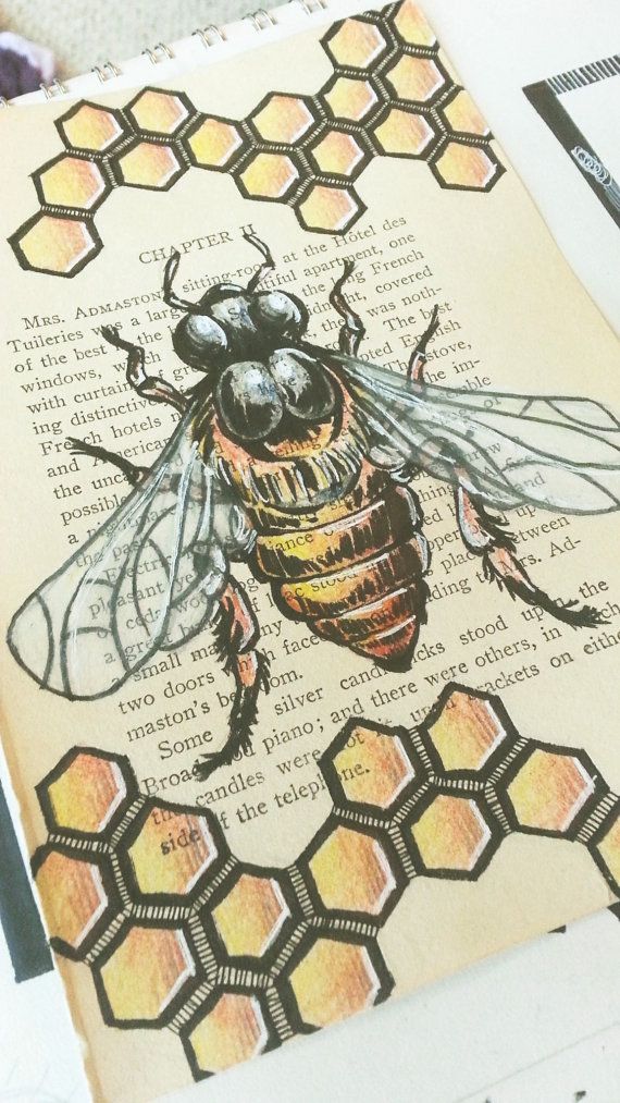 570x1013 art drawings original honey bee drawing hand drawn book art art - Honey Bee Drawing Images