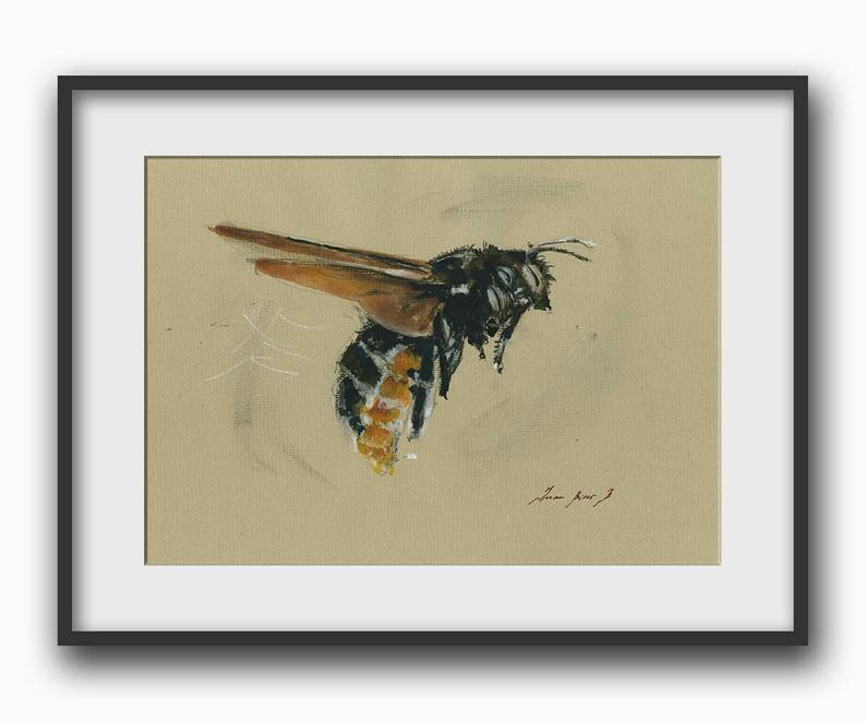 794x662 carpenter bee honey bee drawing bee print insect art etsy - Honey Bee Drawing Images