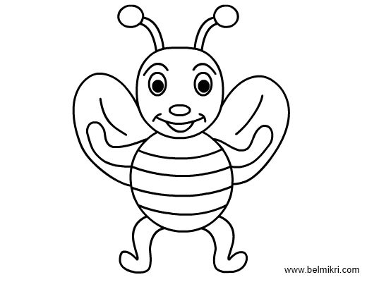 520x400 honey bee coloring pages best of honey bee line drawing - Honey Bee Line Drawing