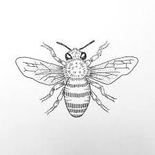 225x225 image result for honey bee line drawing honey benefits bee - Honey Bee Line Drawing