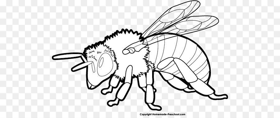 900x380 Bee, Line, Design, Transparent Png Image Clipart Free Download - Honey Bee Line Drawing