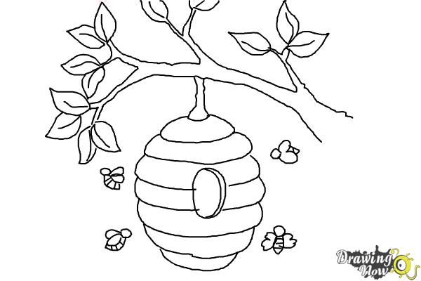 600x400 how to draw a beehive - Honeycomb Drawing