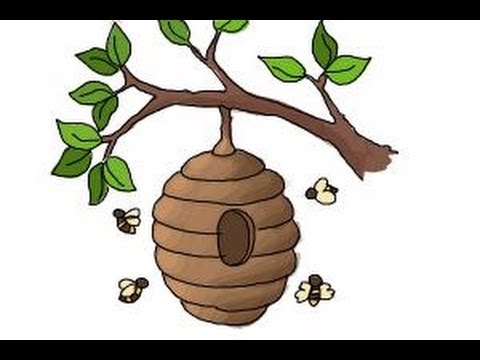 480x360 how to draw a beehive - Honeycomb Drawing