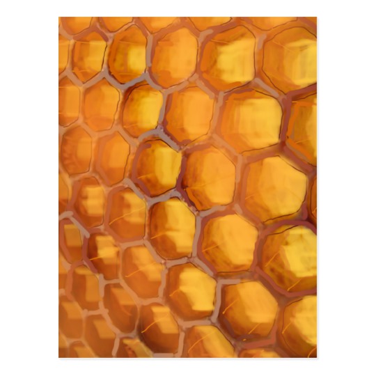 540x540 sweet honeycomb drawing orange yellow brown postcard zazzle ca - Honeycomb Drawing