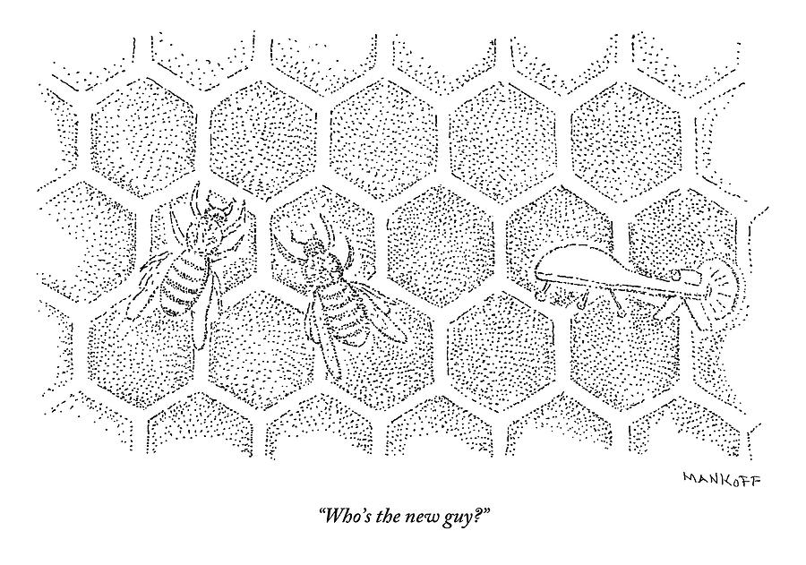900x631 there are two bees on a honeycomb drawing - Honeycomb Drawing