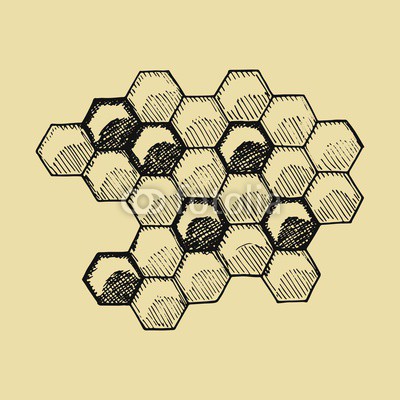 400x400 bees honeycomb sketch hand drawing vector illustration buy - Honeycomb Drawing