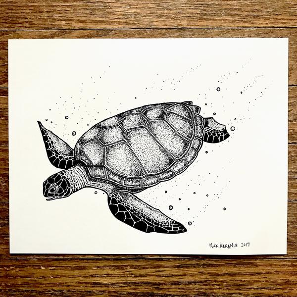 Honu Drawing At Explore Collection Of Honu Drawing