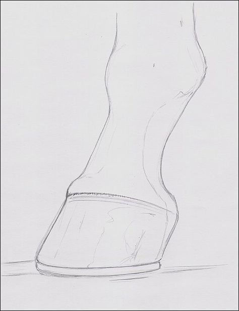 474x615 how to draw a horse hoof drawing horse drawings, drawings - Hoof Drawing