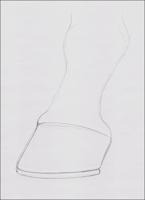 502x693 how to draw a standing hoof with graphite doodles, sketches - Hoof Drawing