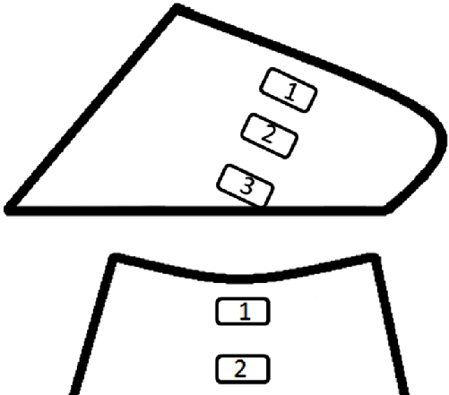 501x441 sketch drawing of the hoof of horses, indicating the proximal - Hoof Drawing