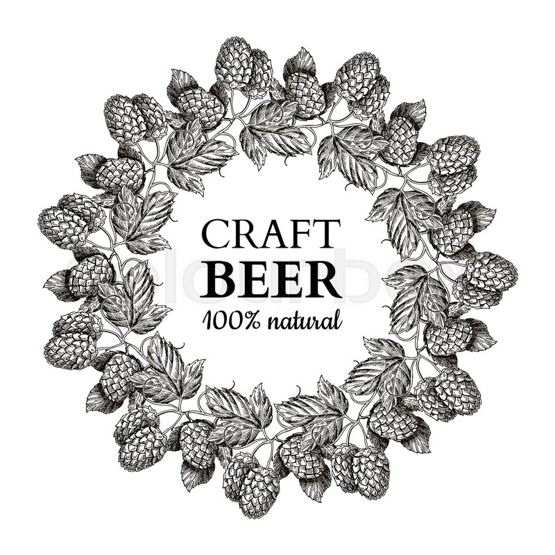 800x800 hop plant vector wreath drawing stock vector colourbox - Hop Drawing