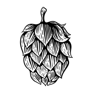300x300 beer hop royalty free vectors - Hop Drawing