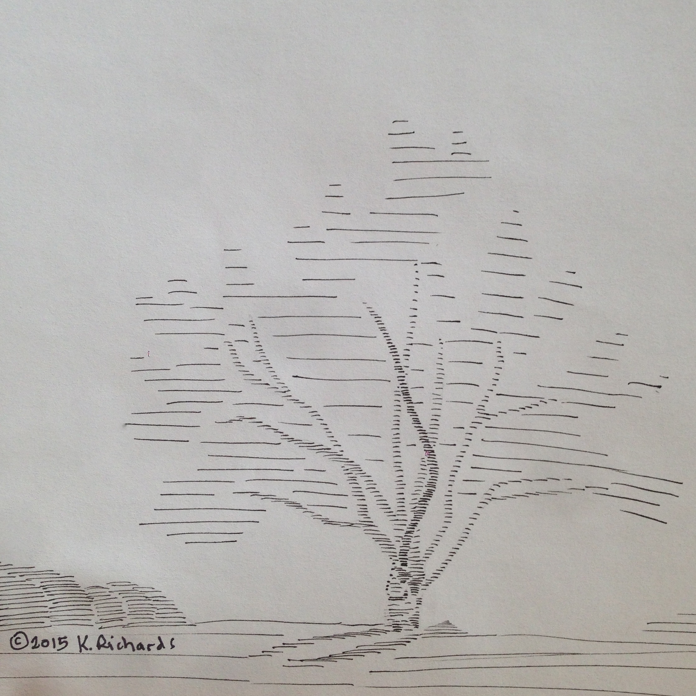 2238x2238 Tree Drawing Horizontal Lines Ticklehead - Horizontal Drawing