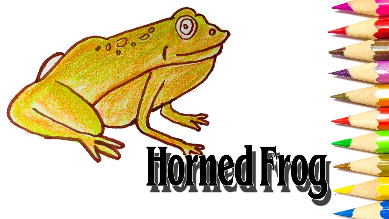 1280x720 How To Draw Horned Frog For Tutorials - Horned Frog Drawing