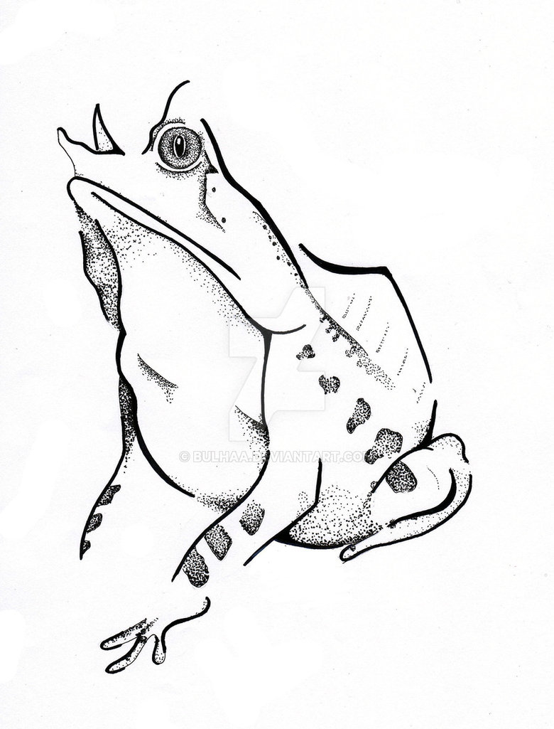 780x1025 Long Nosed Horned Frog - Horned Frog Drawing