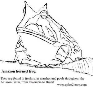 300x281 Amazon Horned Frog Coloring - Horned Frog Drawing