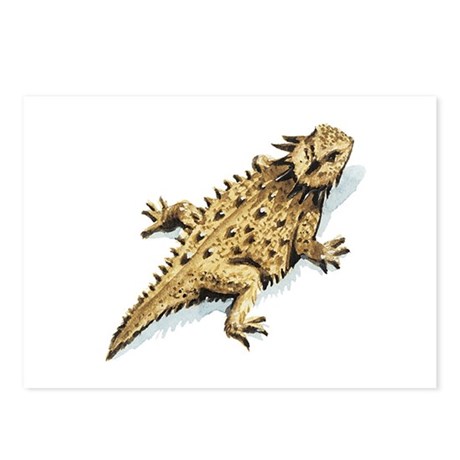 460x460 Horned Lizard Drawing Postcards - Horned Lizard Drawing