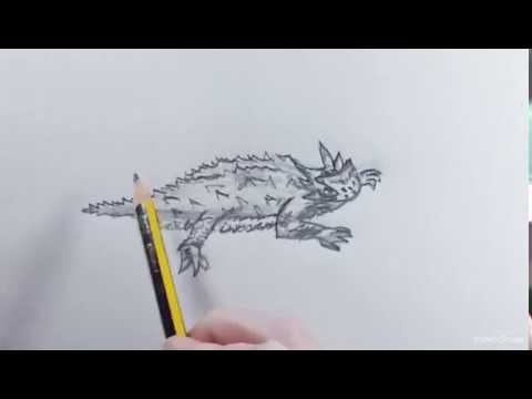 480x360 How To Draw A Horned Lizard - Horned Lizard Drawing