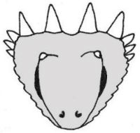 200x189 Tpwd Horned Lizard Facts - Horned Lizard Drawing