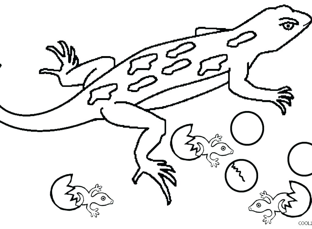 1024x751 Coloring Pages North Map - Horned Lizard Drawing