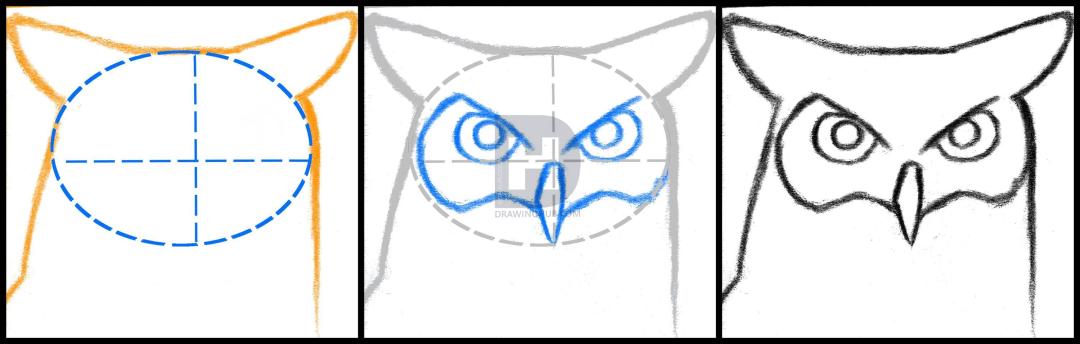 1080x344 How To Draw A Great Horned Owl, Step - Horned Owl Drawing
