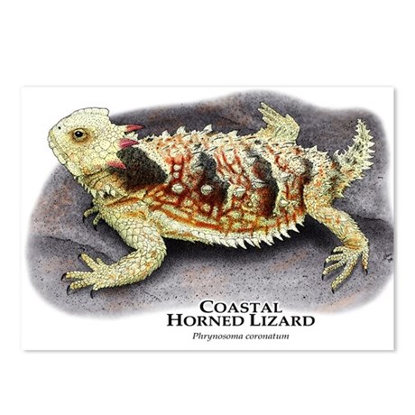 460x460 Horned Lizard Drawing Postcards - Horned Toad Drawing