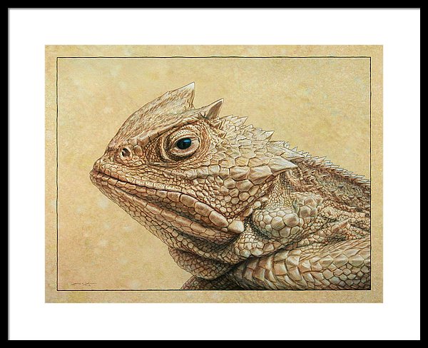 600x488 Horned Toad Framed Print - Horned Toad Drawing