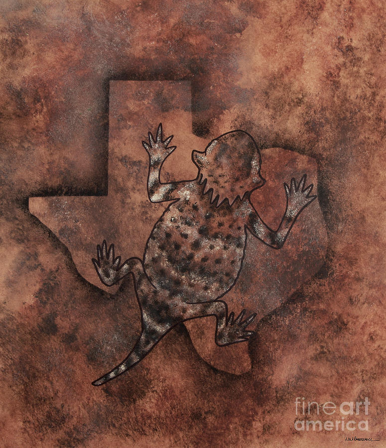 Horned Toad Drawing at Explore collection of