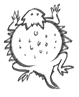 157x192 Horned Toad Listening - Horned Toad Drawing