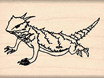 355x266 Stamps - Horned Toad Drawing