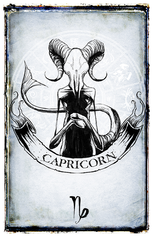 518x800 zodiac signs the art of shawn coss - Horoscope Drawings