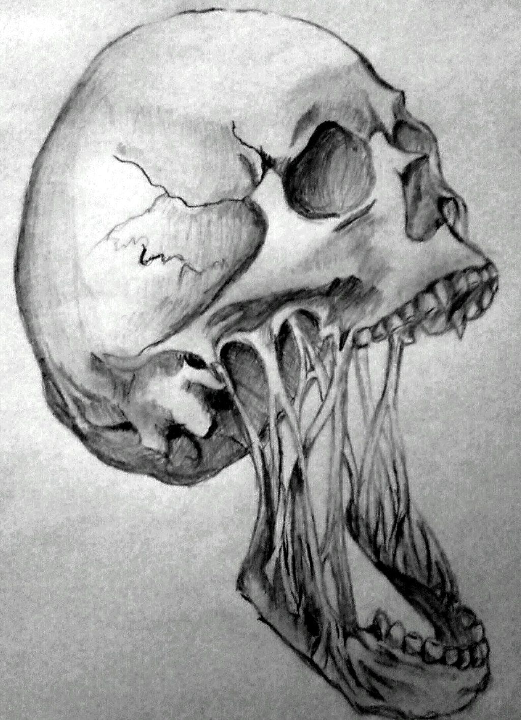 1024x1413 horror skull - Horror Drawings