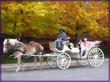 451x338 aspen carriage and sleigh the rocky mountain's premier horse drawn - Horse And Buggy Drawing