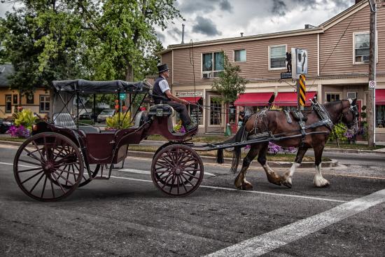 550x367 Horse Carriage - Horse And Carriage Drawing