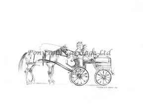 288x209 carriage driving dvd cartoon horse drawn sketches drawings - Horse And Carriage Drawing