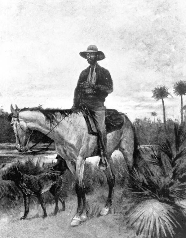 600x767 Florida Cracker Horse - Horse And Cowboy Drawing