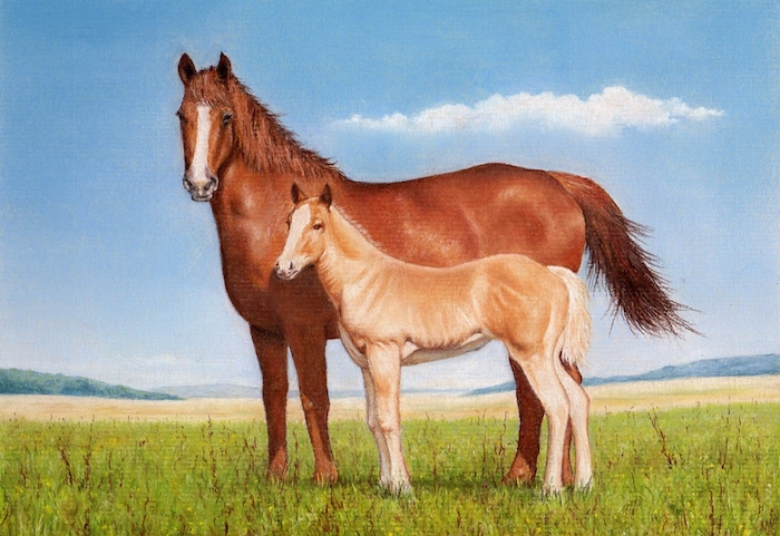 700x481 Draw A Horse And Foal Using Pastel Pencils Colin Bradley Art - Horse And Foal Drawing