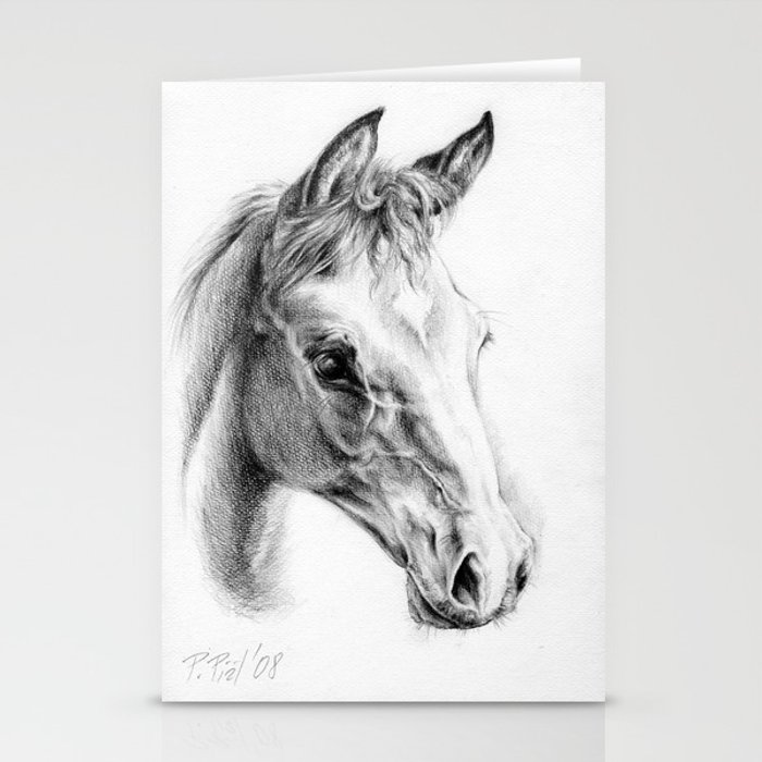 700x700 Foal Horse Portrait Colt Head Graphite Pencil Drawing Stationery - Horse And Foal Drawing