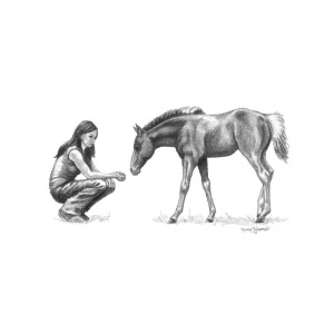 300x300 First Love Girl With Horse Foal Drawing - Horse And Foal Drawing