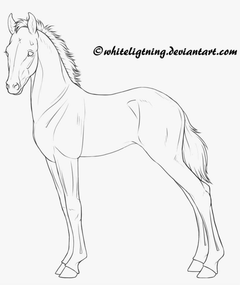 820x974 Free Horse Lineart - Horse And Foal Drawing