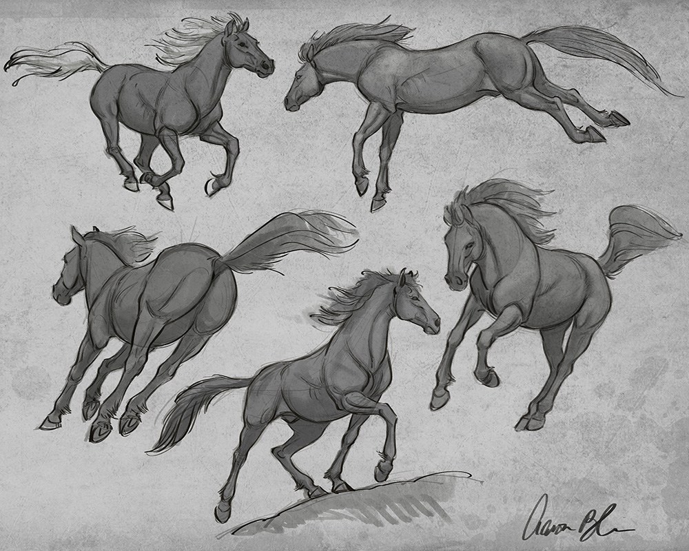 How To Draw Horses Course - Horse And Foal Drawing. 