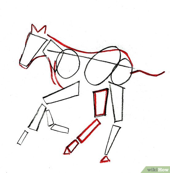 552x560 How To Draw A Foal Steps - Horse And Foal Drawing