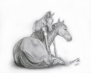 300x243 Hug Of A Foal Drawing - Horse And Foal Drawing
