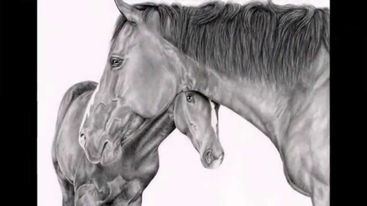 1280x720 Mare And Foal Pencil Drawing Timelapse - Horse And Foal Drawing