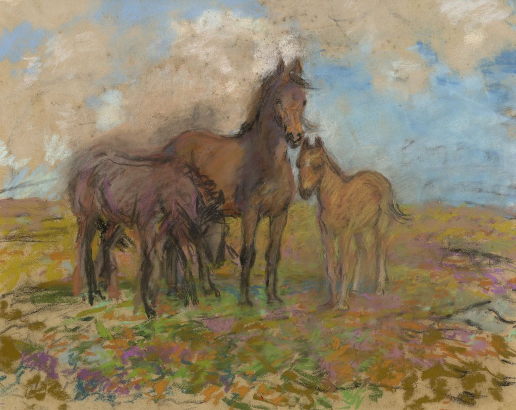 1023x813 Alice Des Clayes Arca, Horse Foal - Horse And Foal Drawing