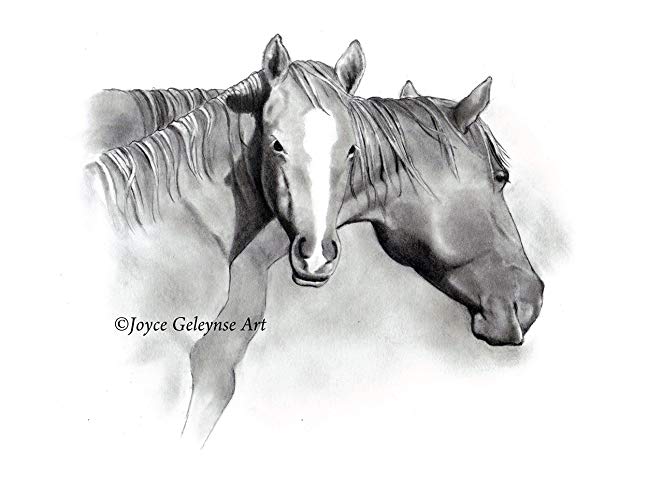 663x500 Horses In Pencil, Art Print, Mare And Foal, Pencil - Horse And Foal Drawing