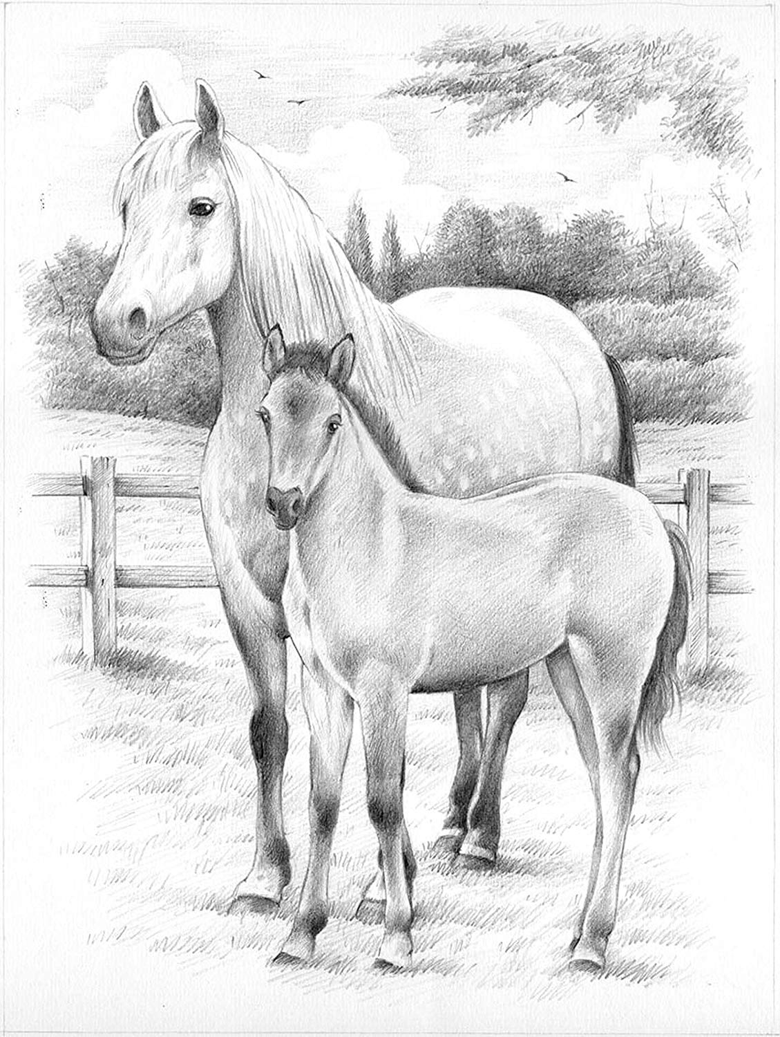 1129x1500 Reeves Horse And Foal Sketching - Horse And Foal Drawing