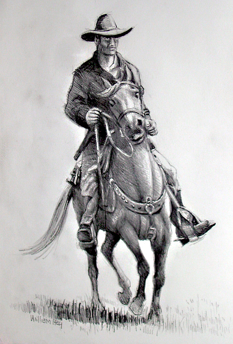 474x700 Horse And Rider Drawing - Horse And Rider Drawing